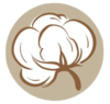 Illustration of cotton